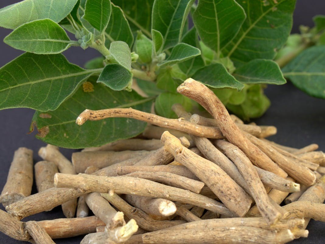 Ashwagandha 2